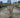 Grass - Panicum virgatum Purple Breeze ('Joz276'PBR) (Switchgrass)
